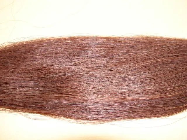 what is horse hair used for
