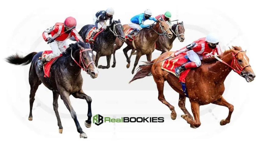 what is the most profitable bet in horse racing
