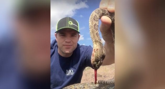 can you kill a snake on your property

