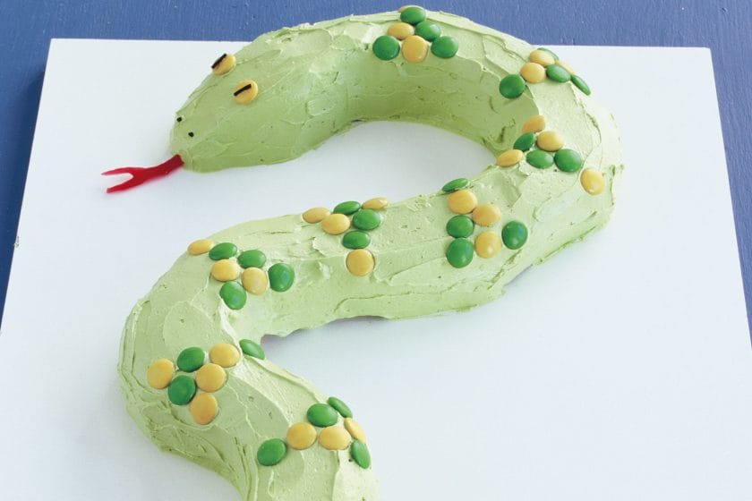 how to make a snake cake
