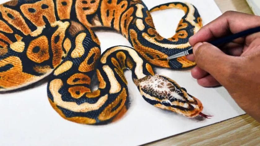 how to paint a snake
