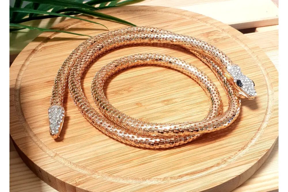 What Is A Snake Chain? • Support Wild