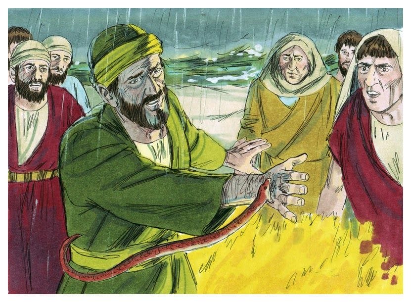 who was bitten by a snake in the bible
